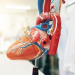 Heart health awareness and preventive cardiology support at Margdarshan Hospital in Kankarbagh Patna.
