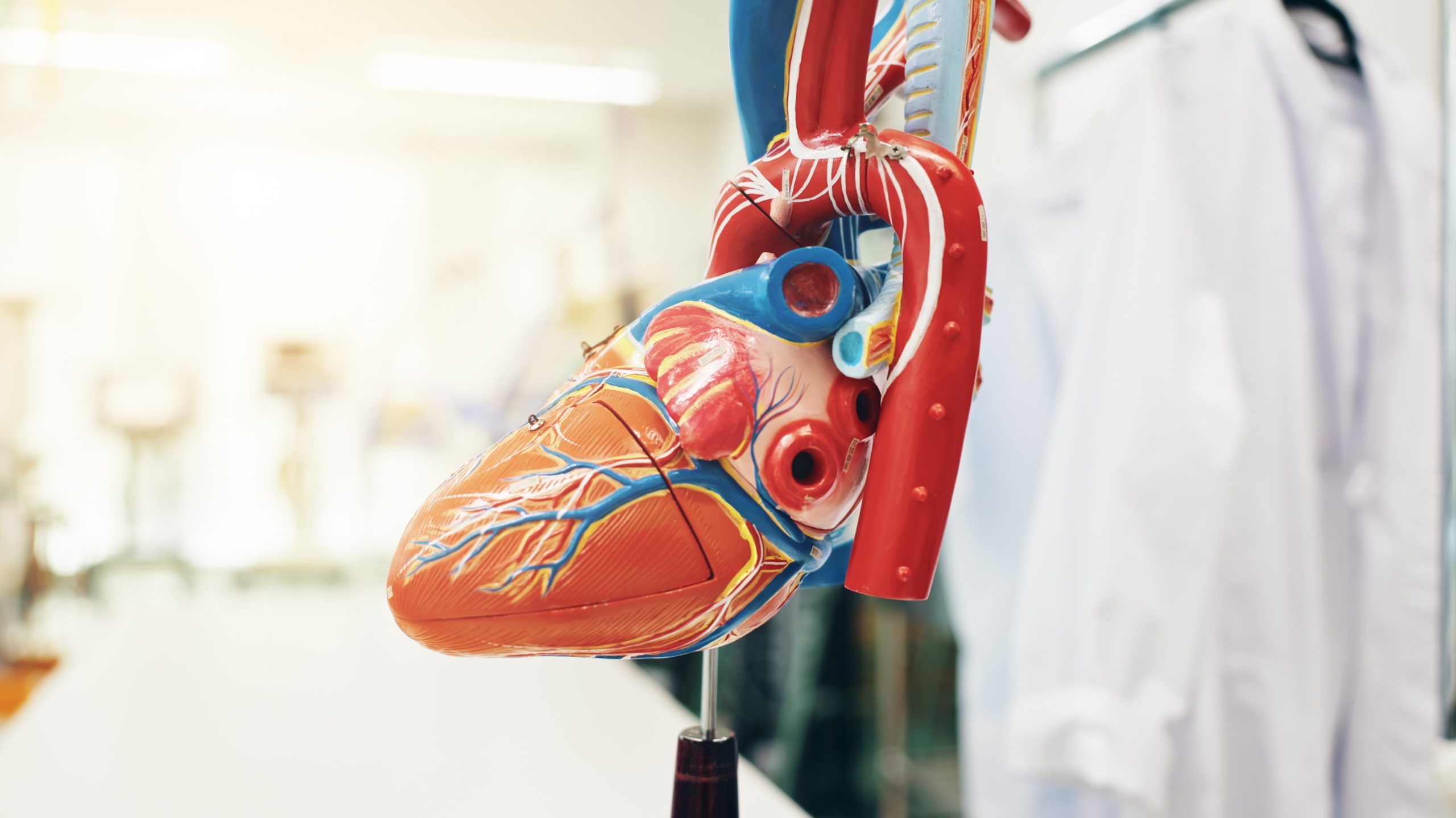Heart health awareness and preventive cardiology support at Margdarshan Hospital in Kankarbagh Patna.